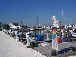 Marina Boat Slips